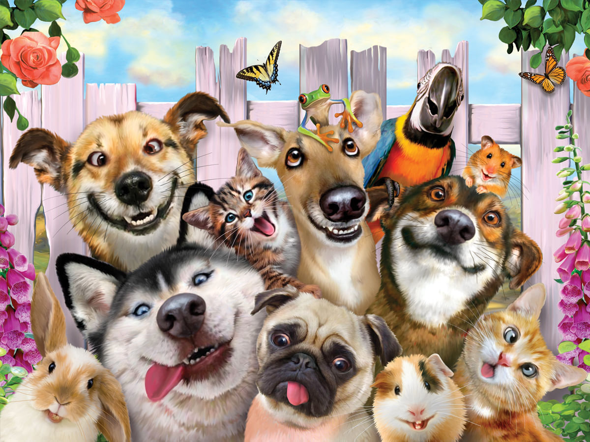 Quebra Cabeça Multikids 3D Pet Selfie 500 Peças