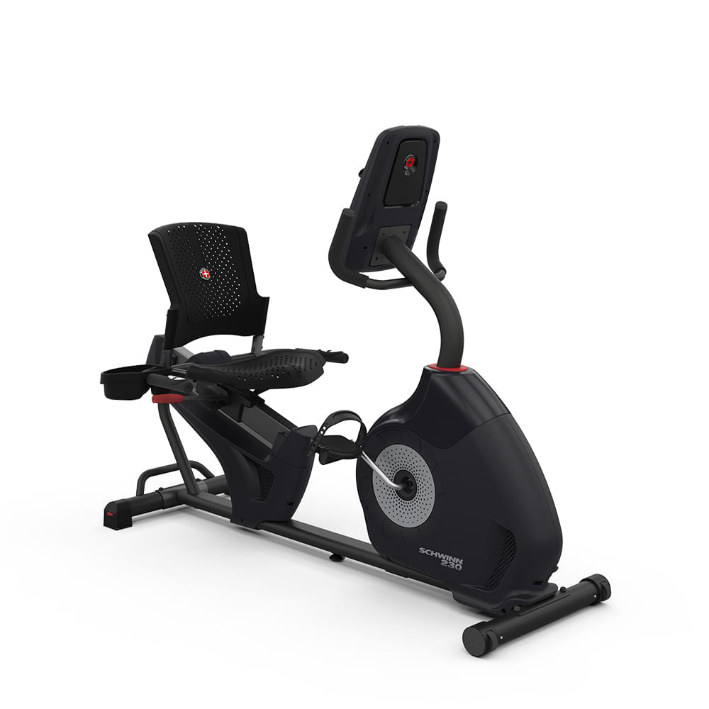 Bike Ergometrica Horizontal 230 Schwinn Wellness - GY014