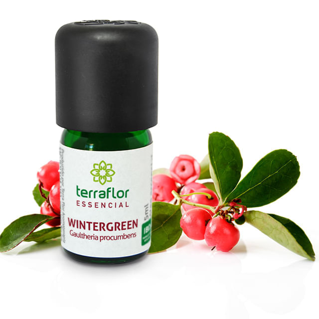 Óleo Essencial De Wintergreen Terra Flor 5Ml