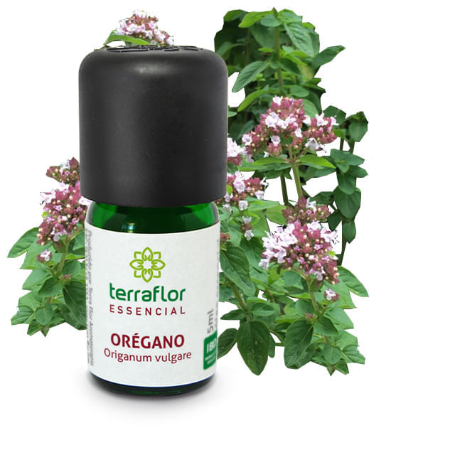 Óleo Essencial de Orégano 5ml – Terra Flor