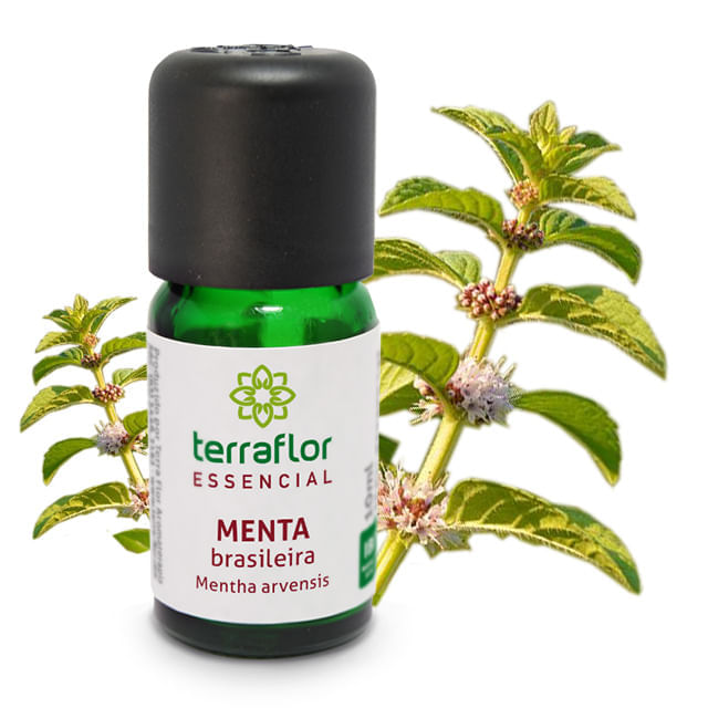 Óleo Essencial De Menta Brasileira Terra Flor 10Ml