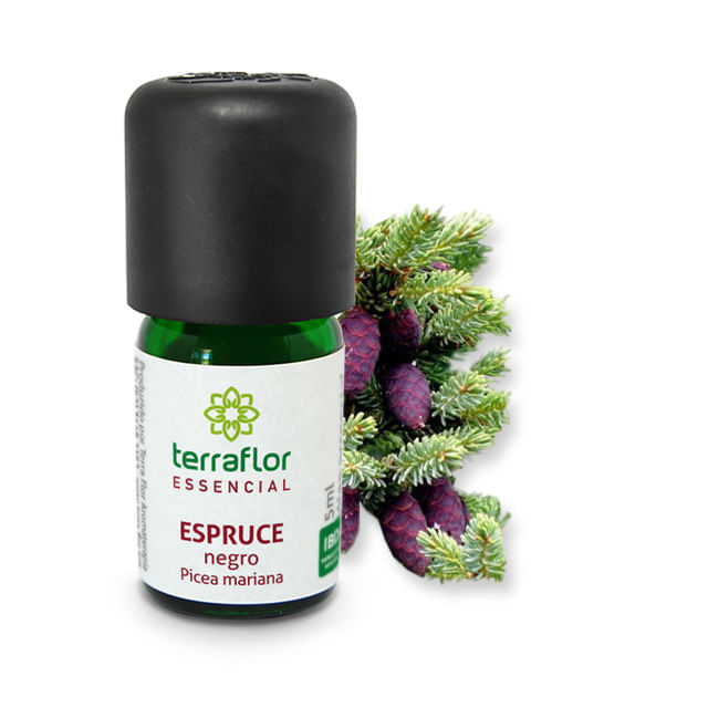 Óleo Essencial De Espruce Negro Terra Flor 5Ml