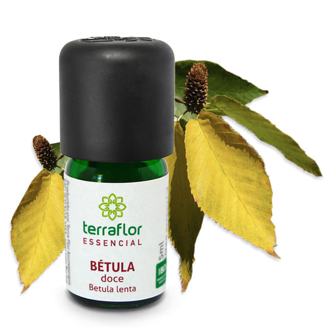 Óleo Essencial De Bétula Doce Arte Dos Aromas 5Ml