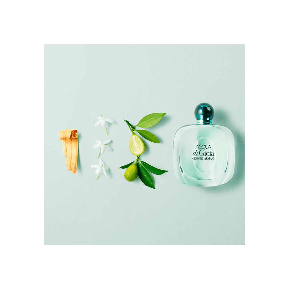Giorgio Armani Acqua di Gioia Eau De Parfum Perfume Feminino 100Ml