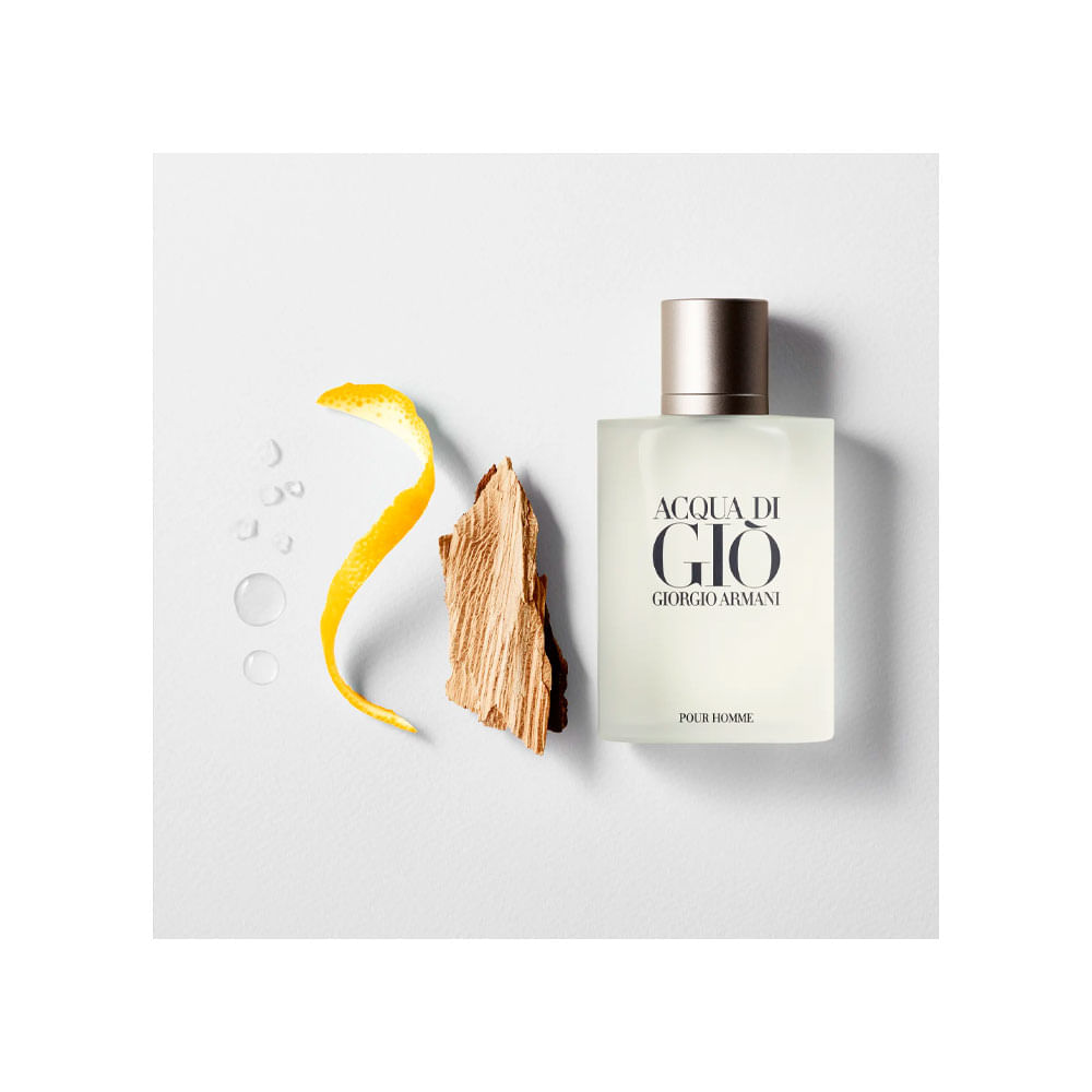 Giorgio Armani Acqua di Giò Pour Homme Eau de Toilette Perfume Masculino 100 ml