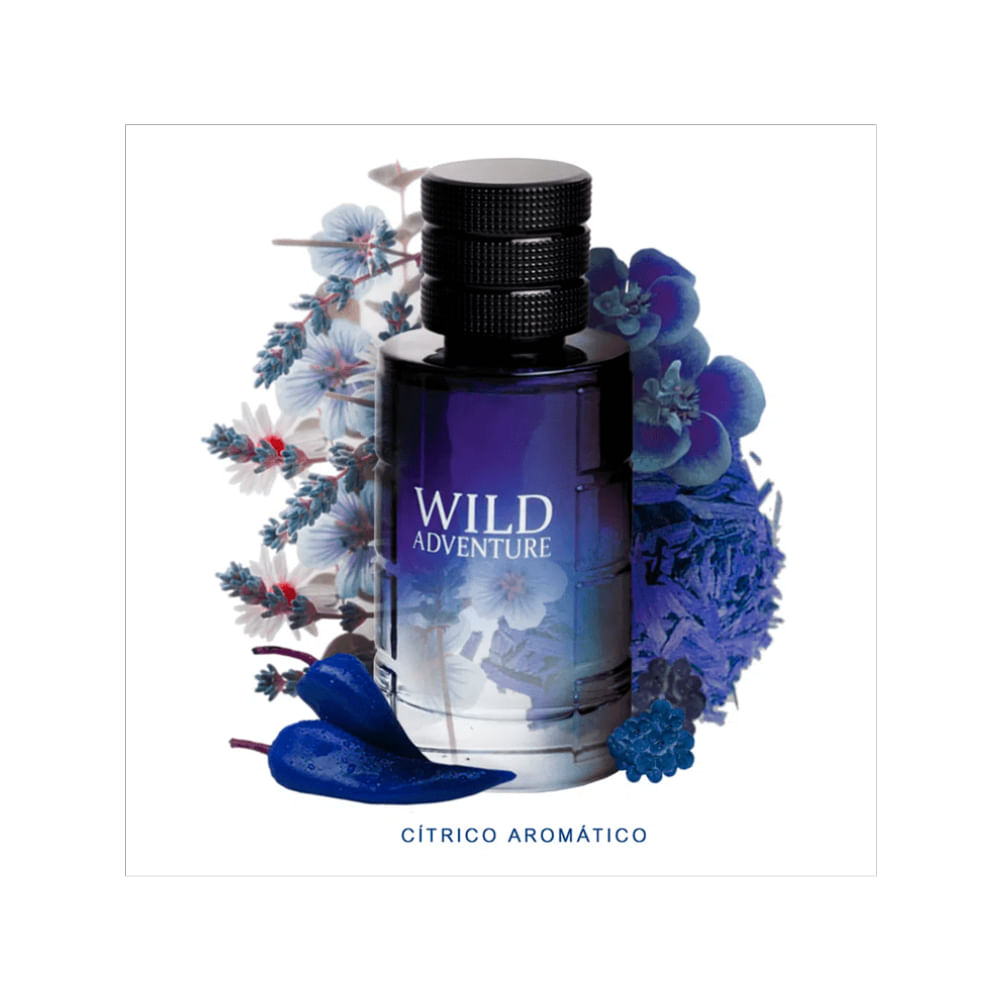 Linn Young Wild Adventure Eau De Toilette Perfume Masculino 100Ml