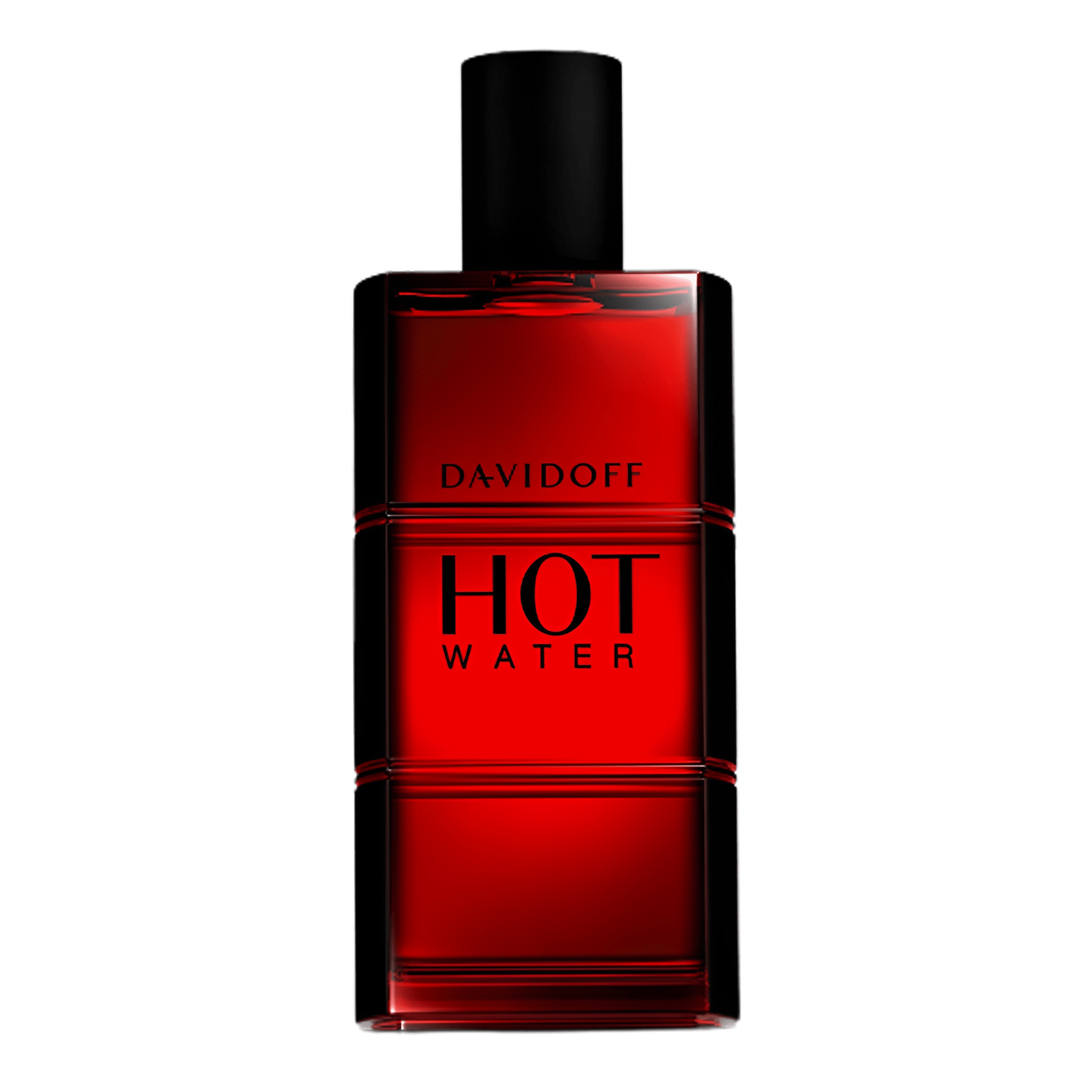 Davidoff Hot Water Eau De Toilette Perfume Masculino 110ml