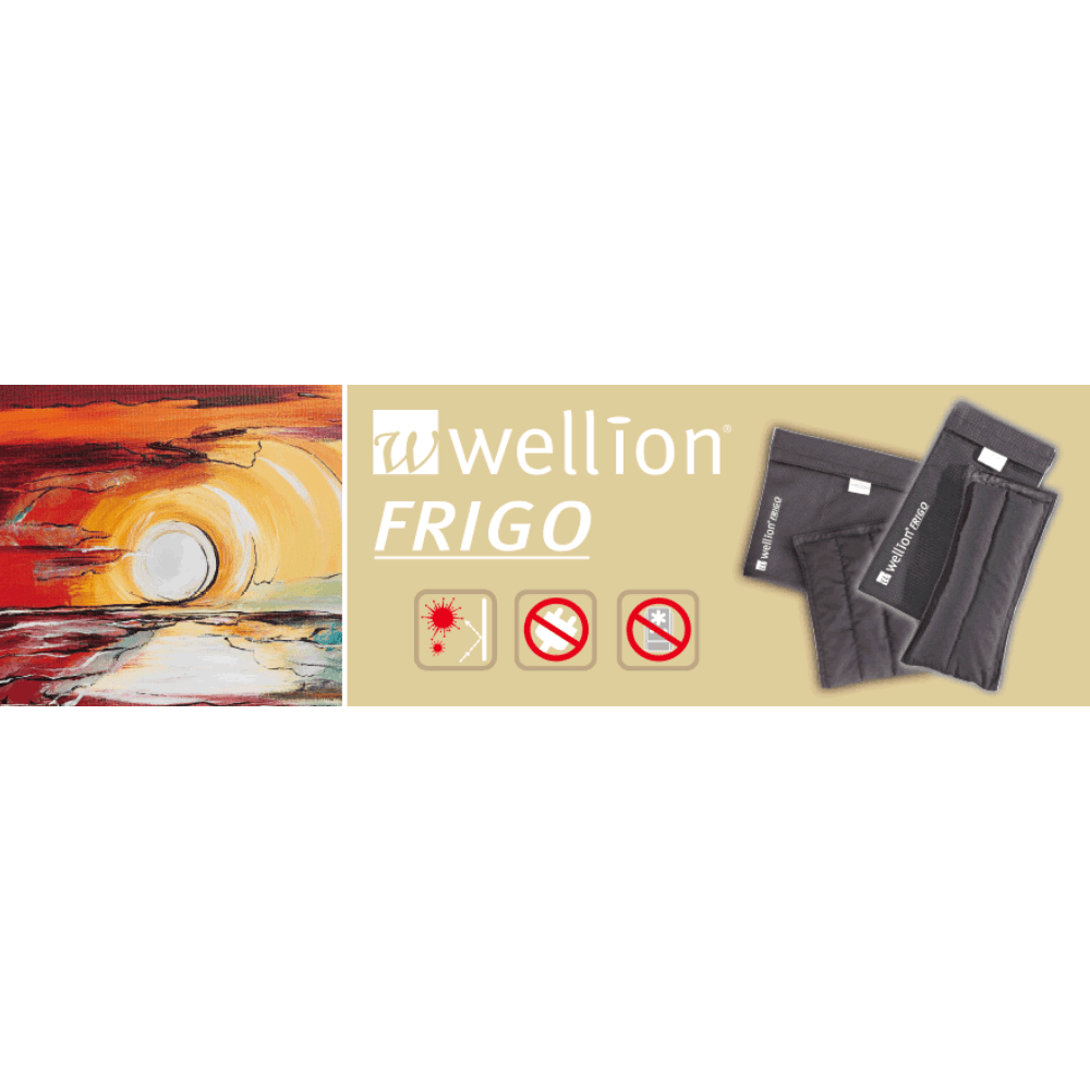 Bolsa Refrigerada para Transporte de Insulina Frigo Wellion