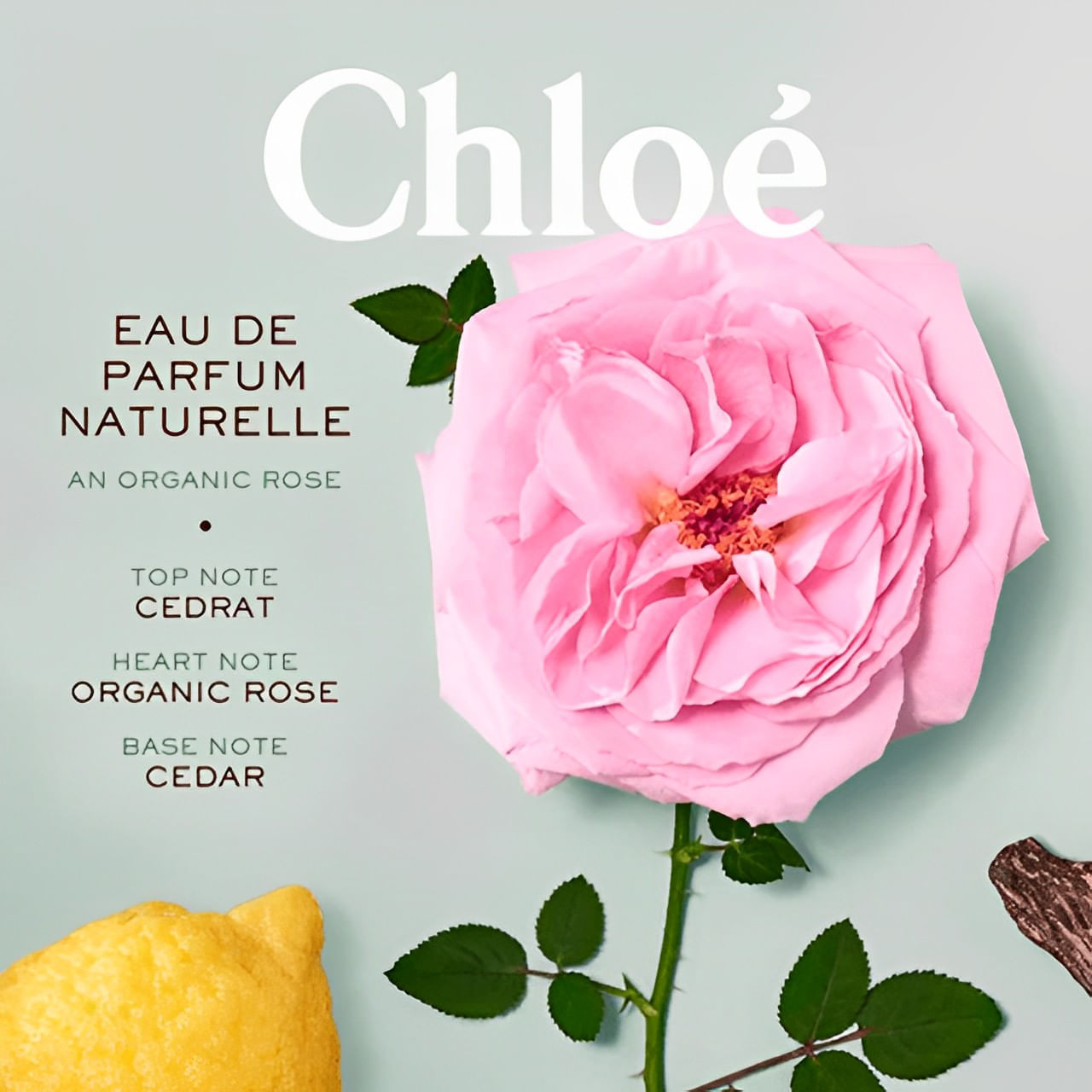 Chloé Naturelle Eau de Parfum Perfume Feminino 100ml