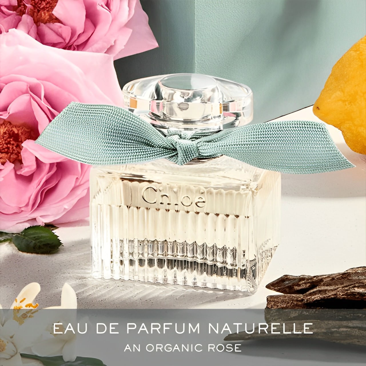 Chloé Naturelle Eau de Parfum Perfume Feminino 100ml
