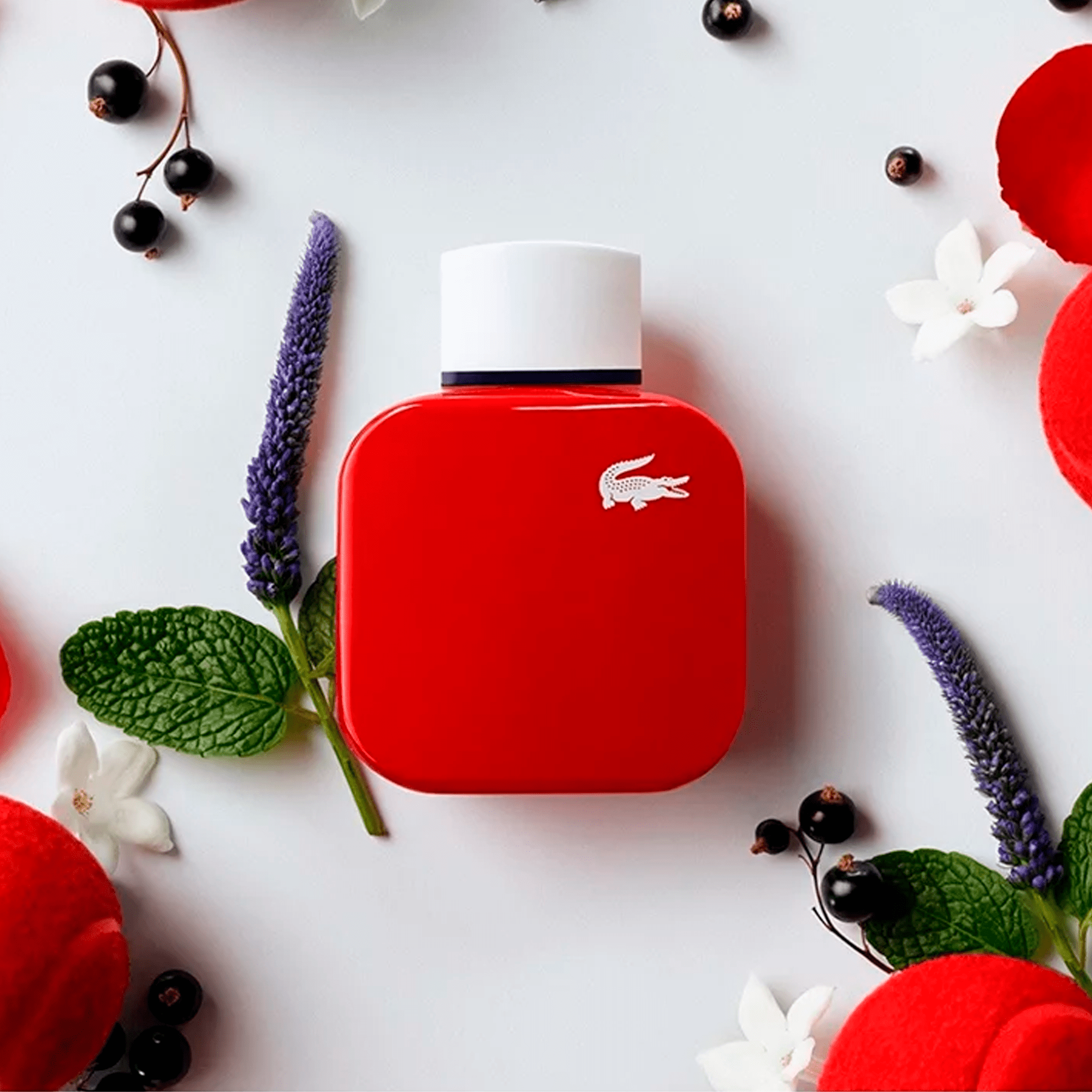 Lacoste L.12.12. Pour Elle French Panache Eau de Toilette Perfume Feminino 50 ml