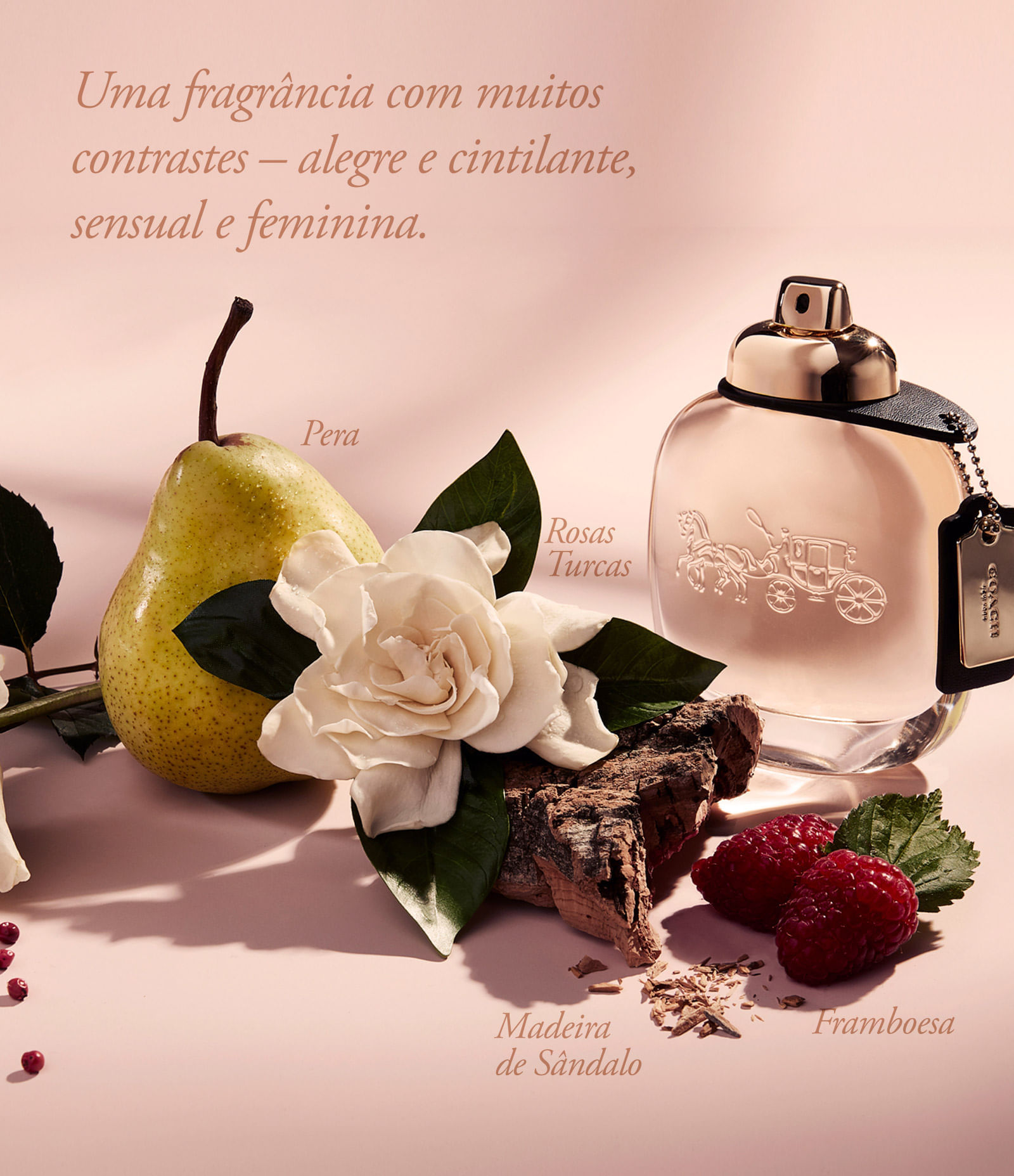 Coach Woman Eau de Parfum Perfume Feminino 50ml