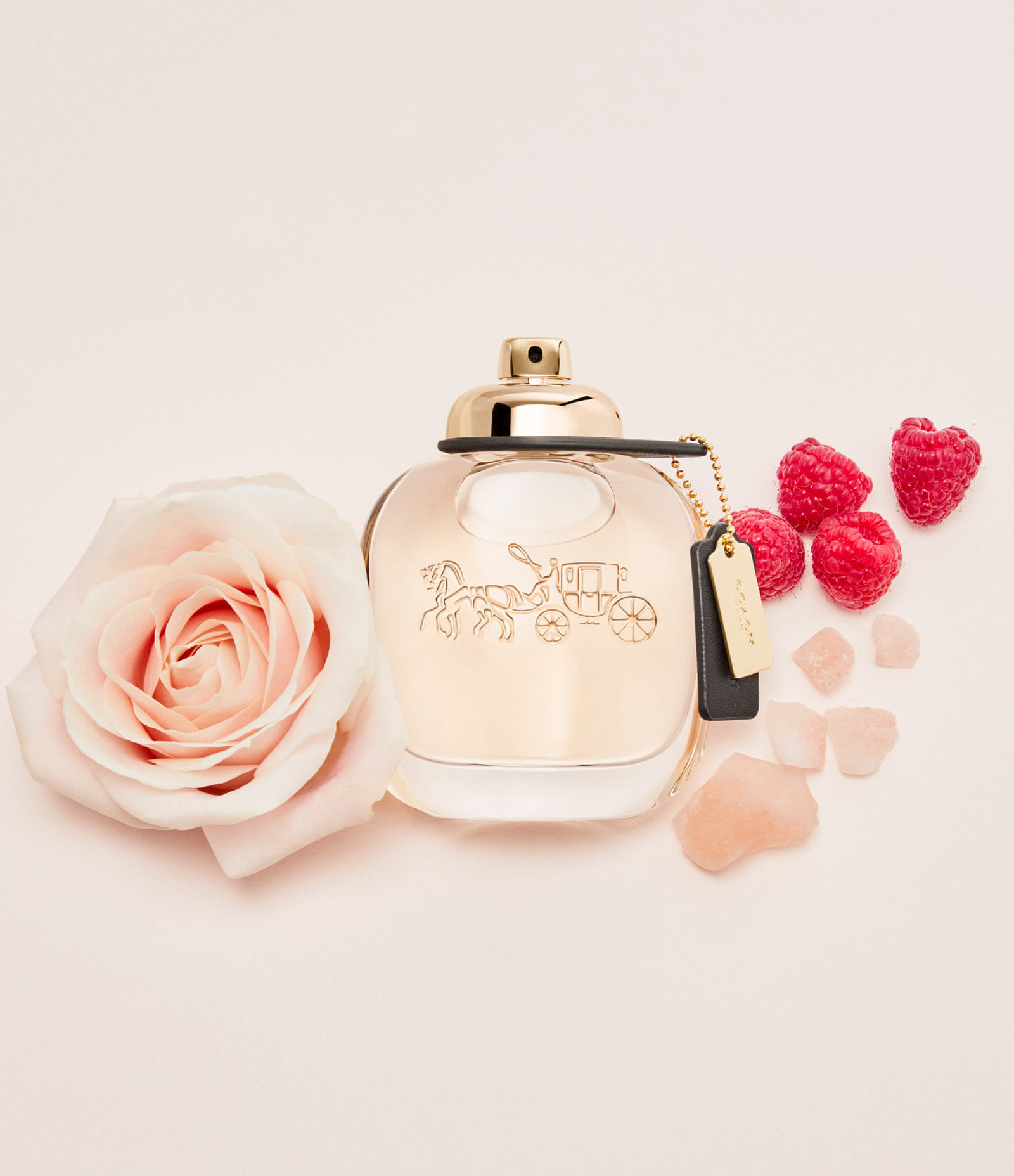 Coach Woman Eau de Parfum Perfume Feminino 50ml
