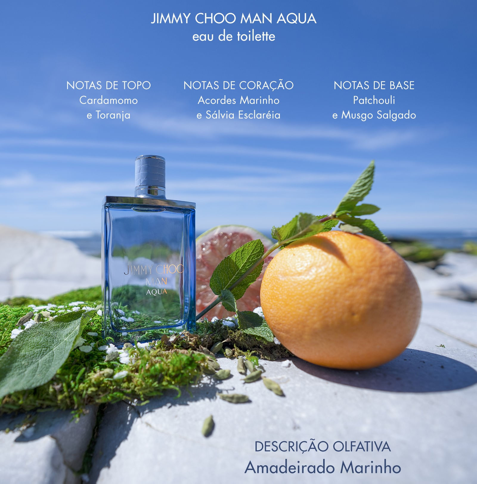 Jimmy Choo Man Aqua Eau de Toilette Perfume Masculino 100ml