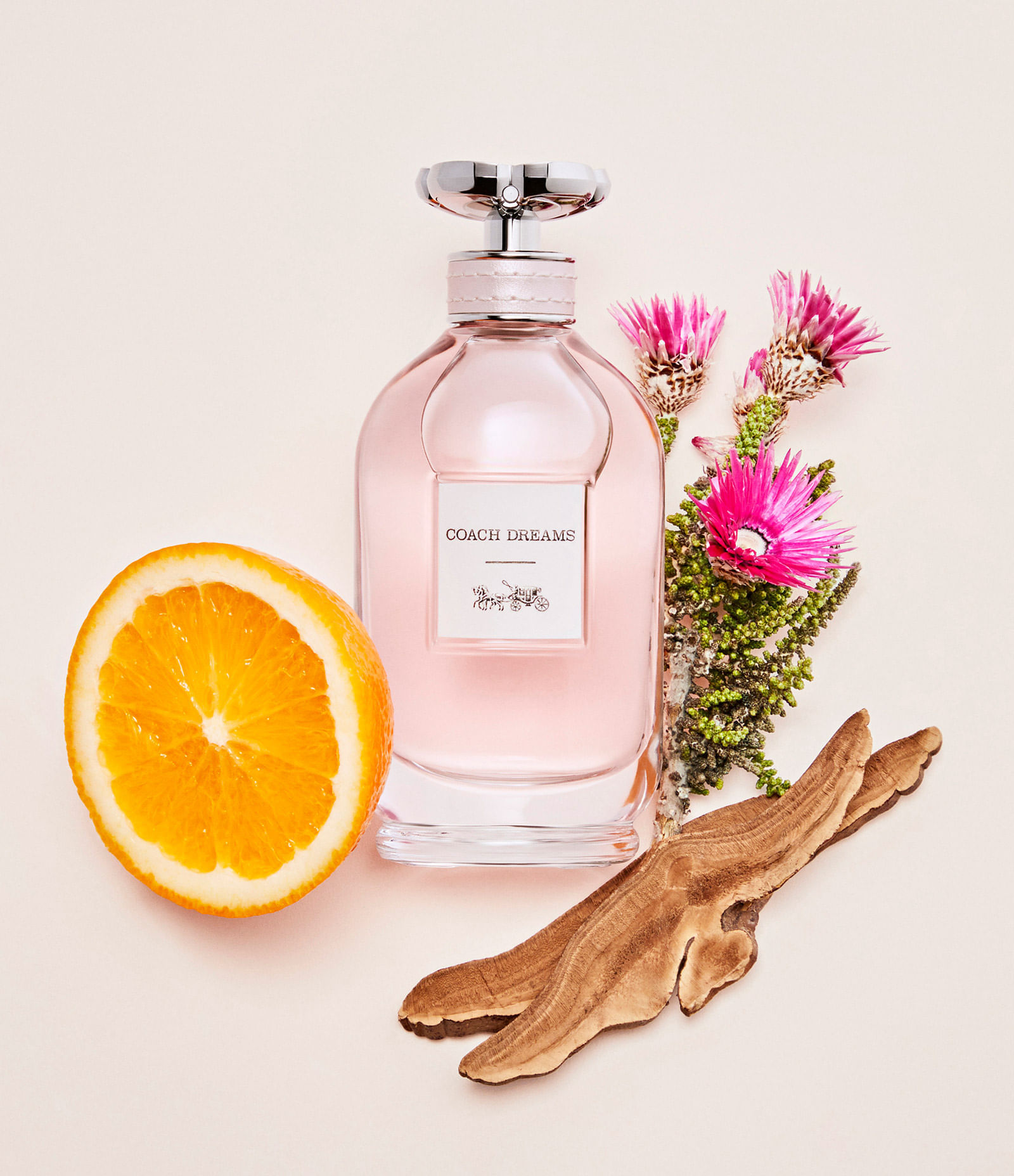 Coach Dreams Coach Eau de Parfum Perfume Feminino 40 ml