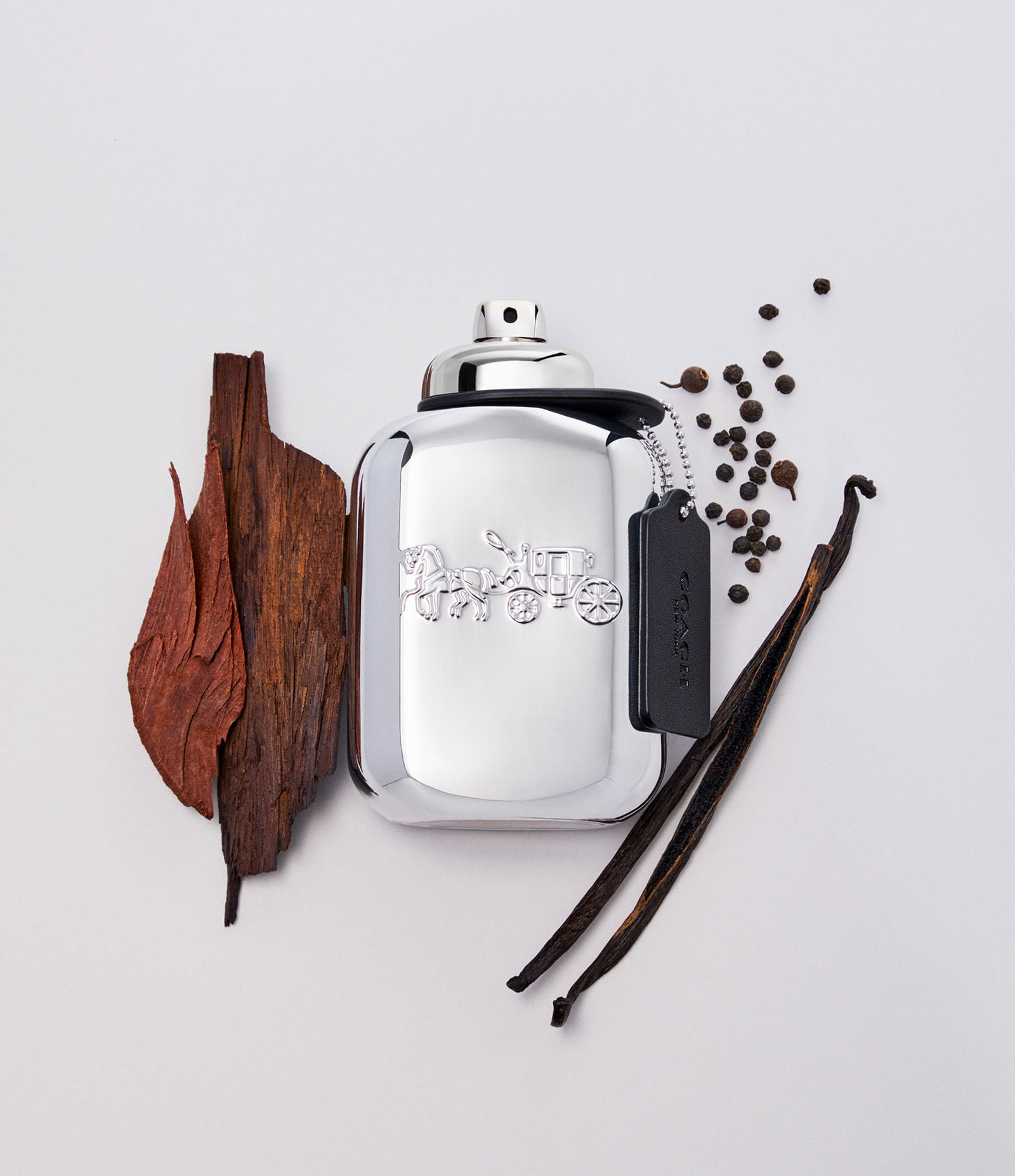 Coach Platinum Coach Eau de Parfum Perfume Masculino 100ml