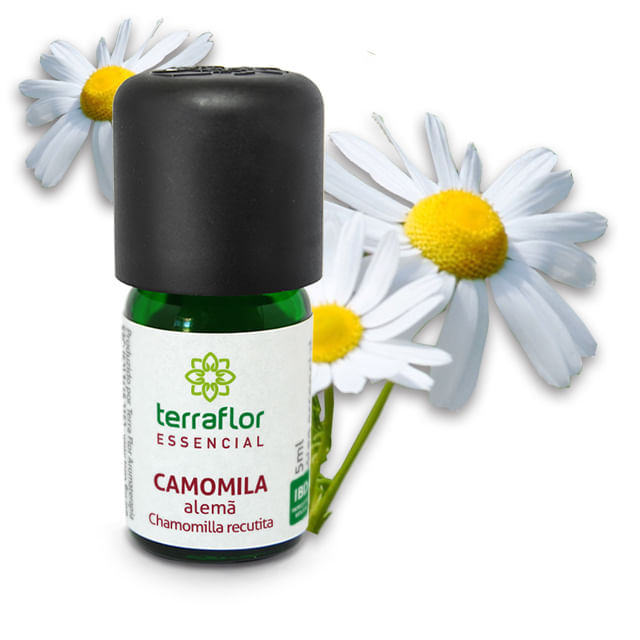 Óleo essencial de Camomila Alemã Azul Terra Flor 5ml