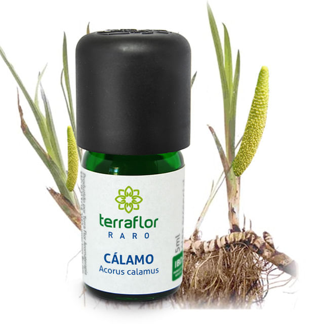 Óleo Essencial de Cálamo Terra Flor 5ml
