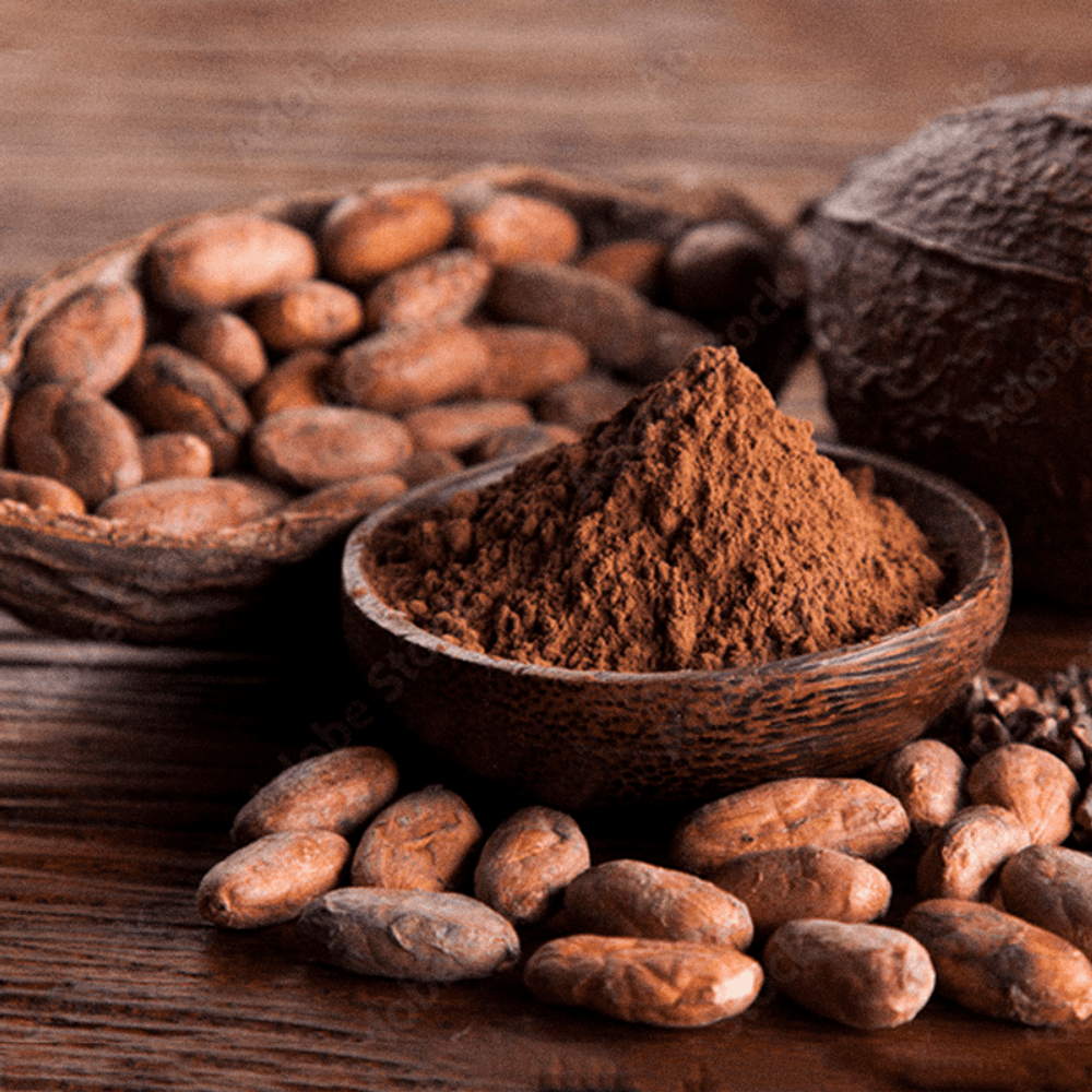 Best Vegan Protein Cacau Atlhetica Nutrition 500g