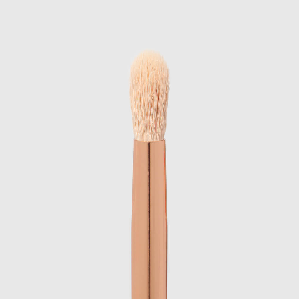 Kit Paleta de Sombras Glorious Océane Edition + Pincéis Para Sombra Océane