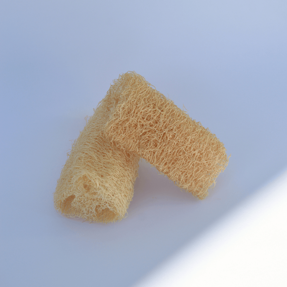 Kit 3 Buchas Vegetais Novva