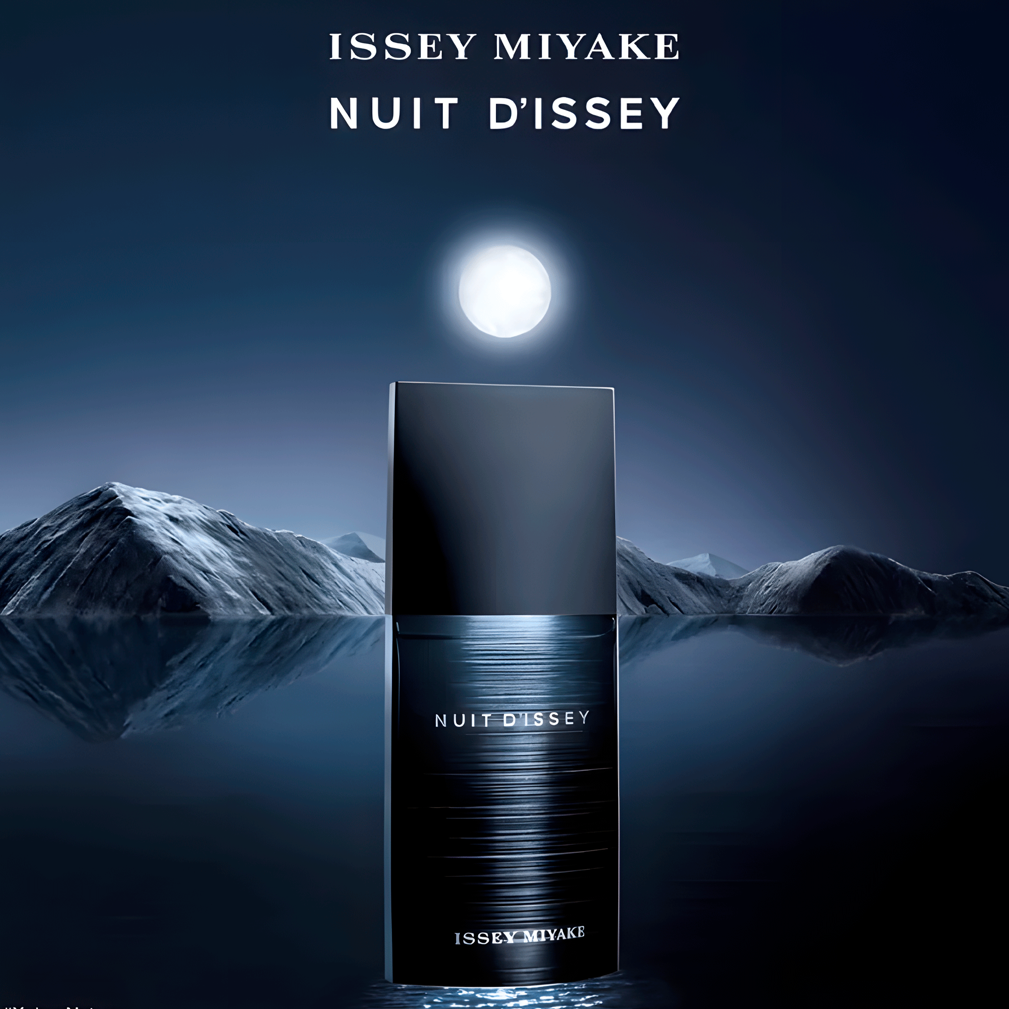 Perfume Masculino Issey Miyake Nuit D'Issey Eau de Toilette  125ml