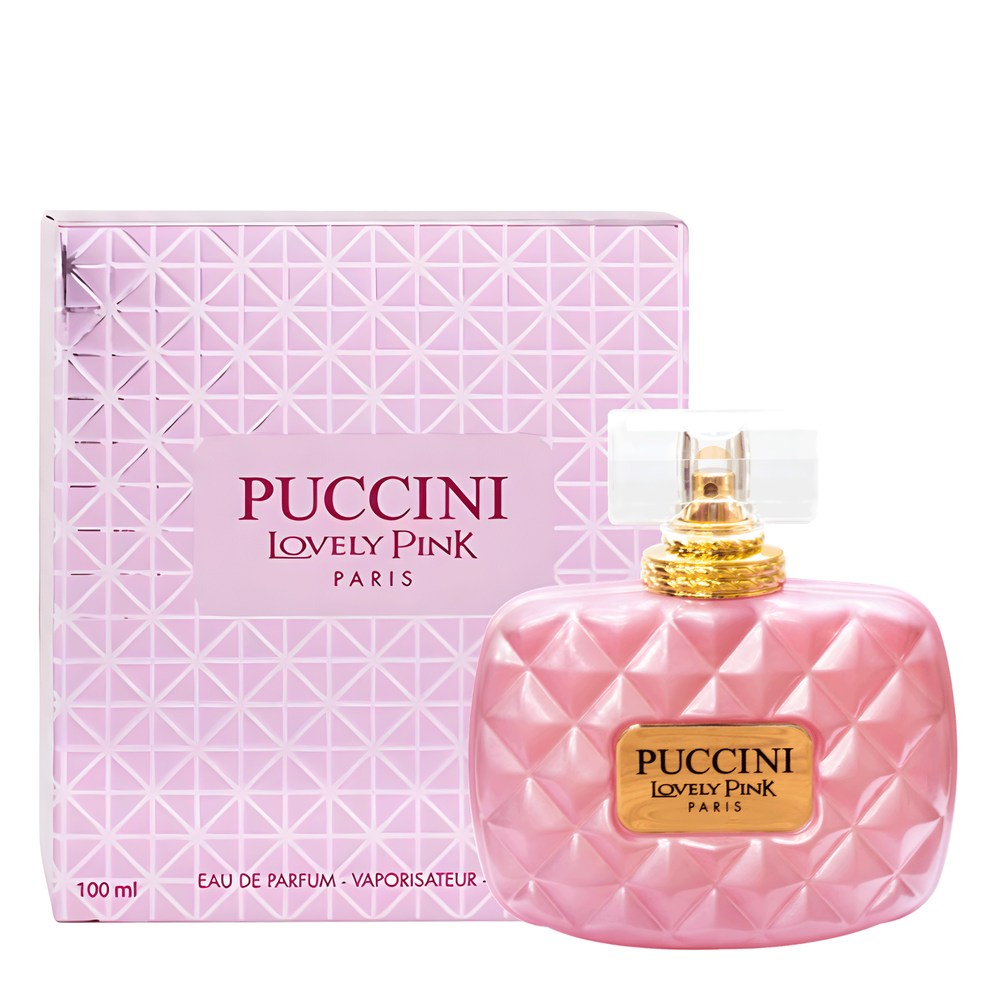 Perfume Feminino Puccini Lovely Pink Eau de Parfum 100ml