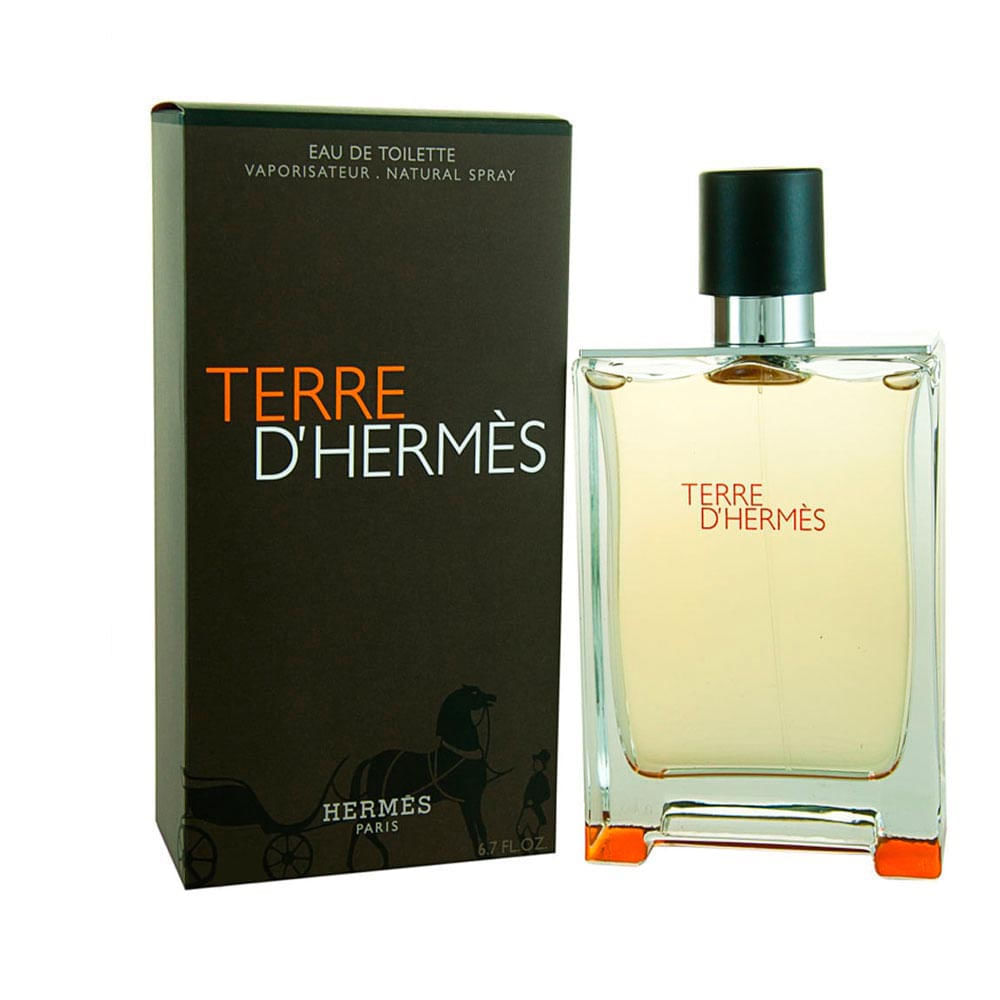 Terre D'hermés Eau De Toilette Perfume Masculino 100 Ml