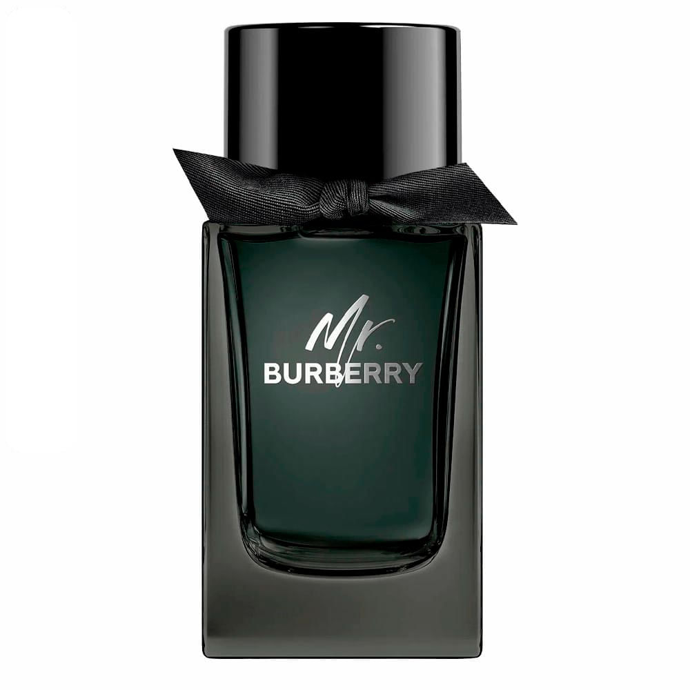 Mr Burberry Eau de Parfum Perfume Masculino 100 ml