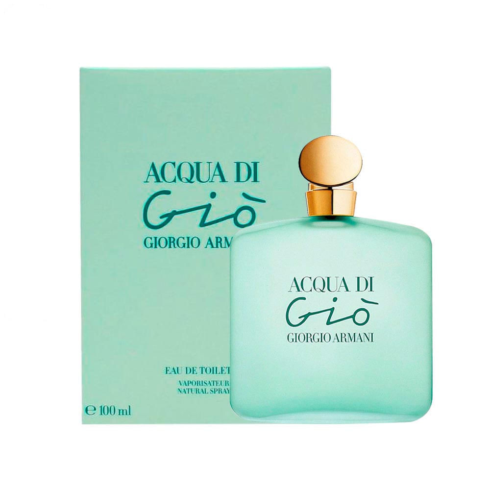 Giorgio Armani Acqua di Giò Eau de Toilette Perfume Feminino 100ml