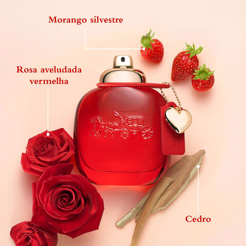 Perfume Feminino Coach Love Eau de Parfum 50 ml