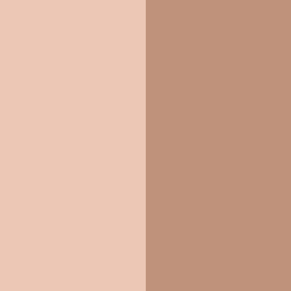 Paleta de Contorno Matte Essence Contouring Duo 7g