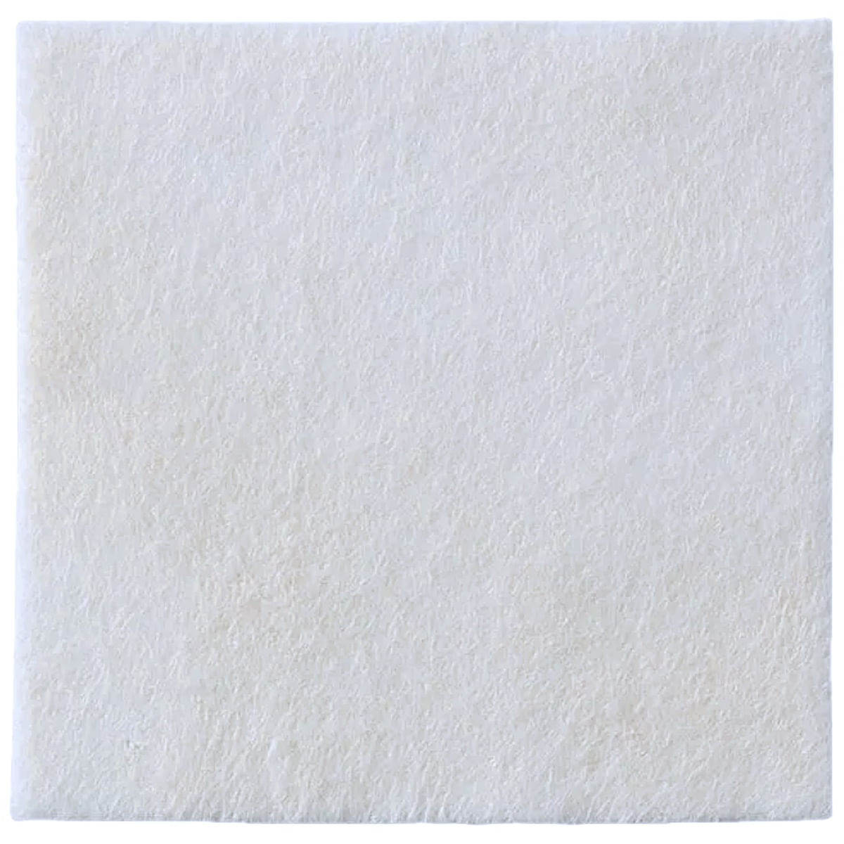 Curativo Biatain Ag Coloplast Prata/cálcio 3760 10x10cm Unidade Coloplast