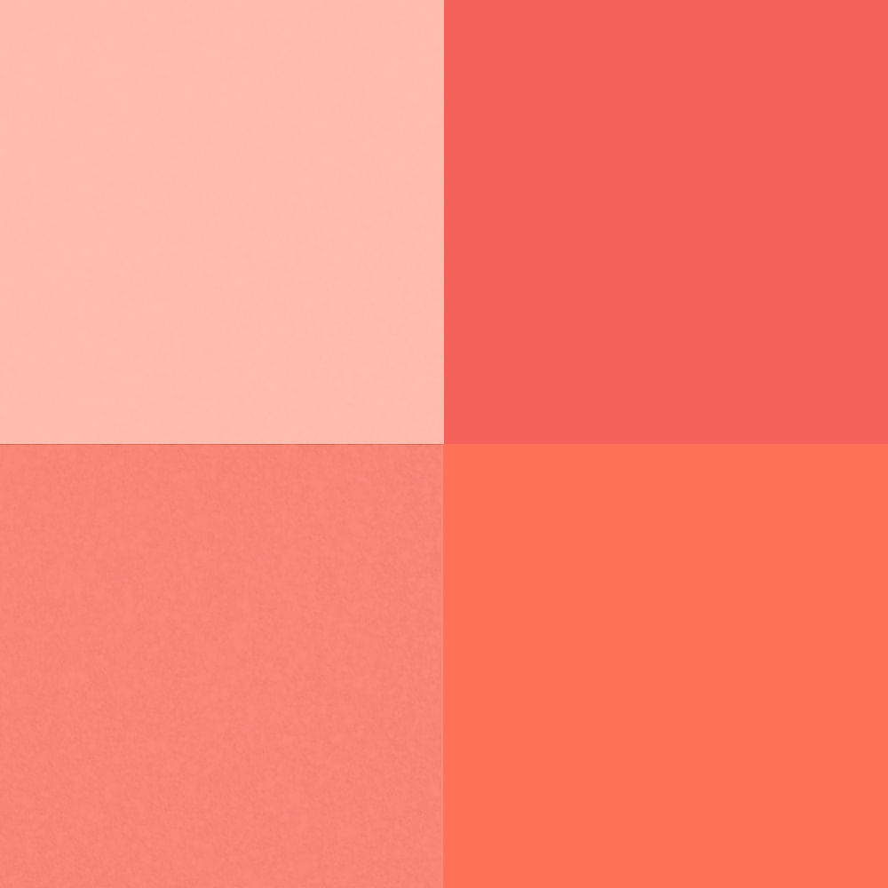 Paleta de Blush Fran by Franciny Ehlke 7 g