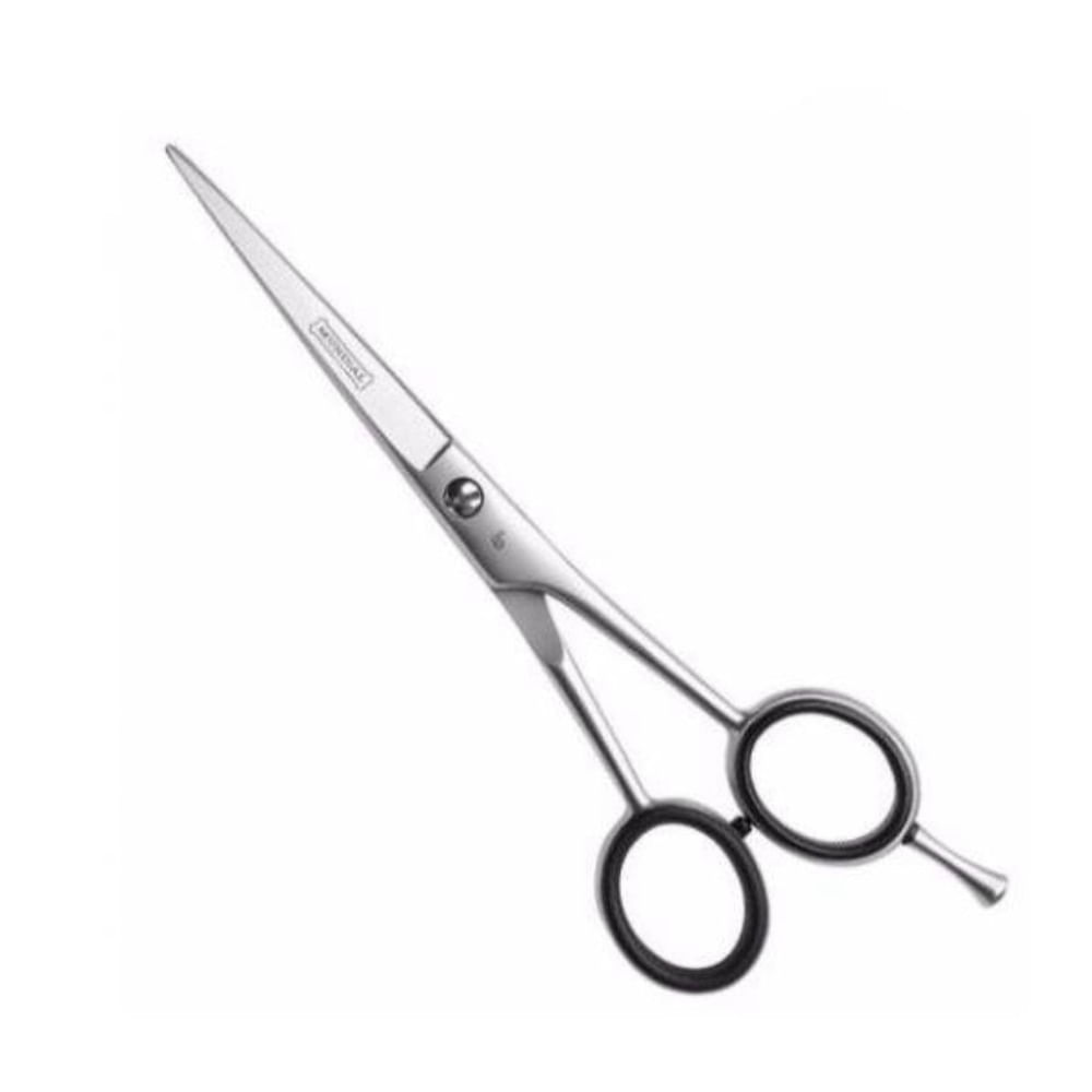 Tesoura Mundial Cabelo Silver Bc-4001-6