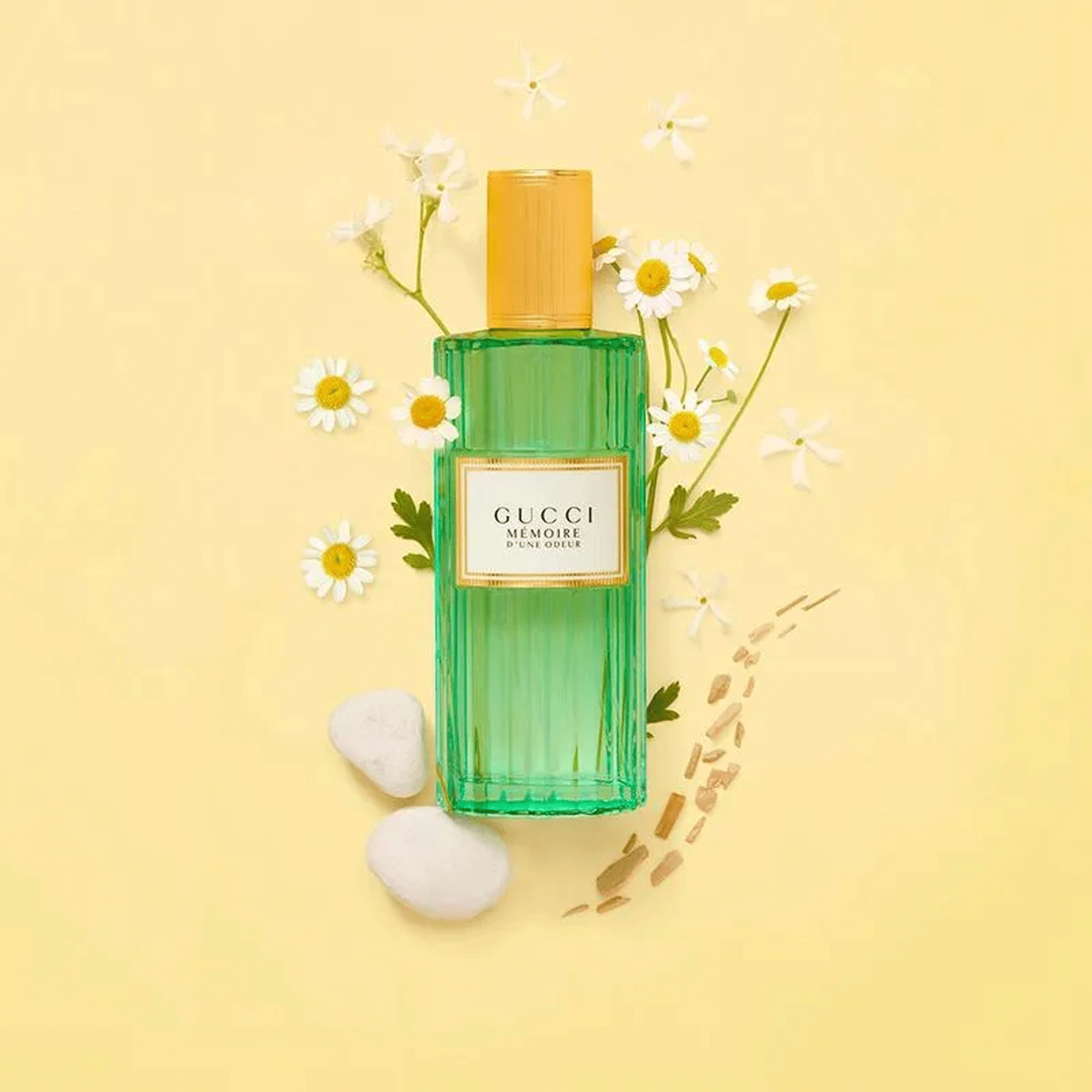Gucci Mémoire D'Une Odeur Eau de Parfum Perfume Unissex 60ml