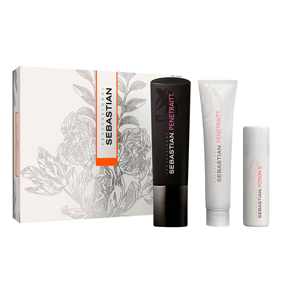 Kit Sebastian Penetraitt Shampoo 250ml + Máscara 150ml + Leave-in Potion 50ml