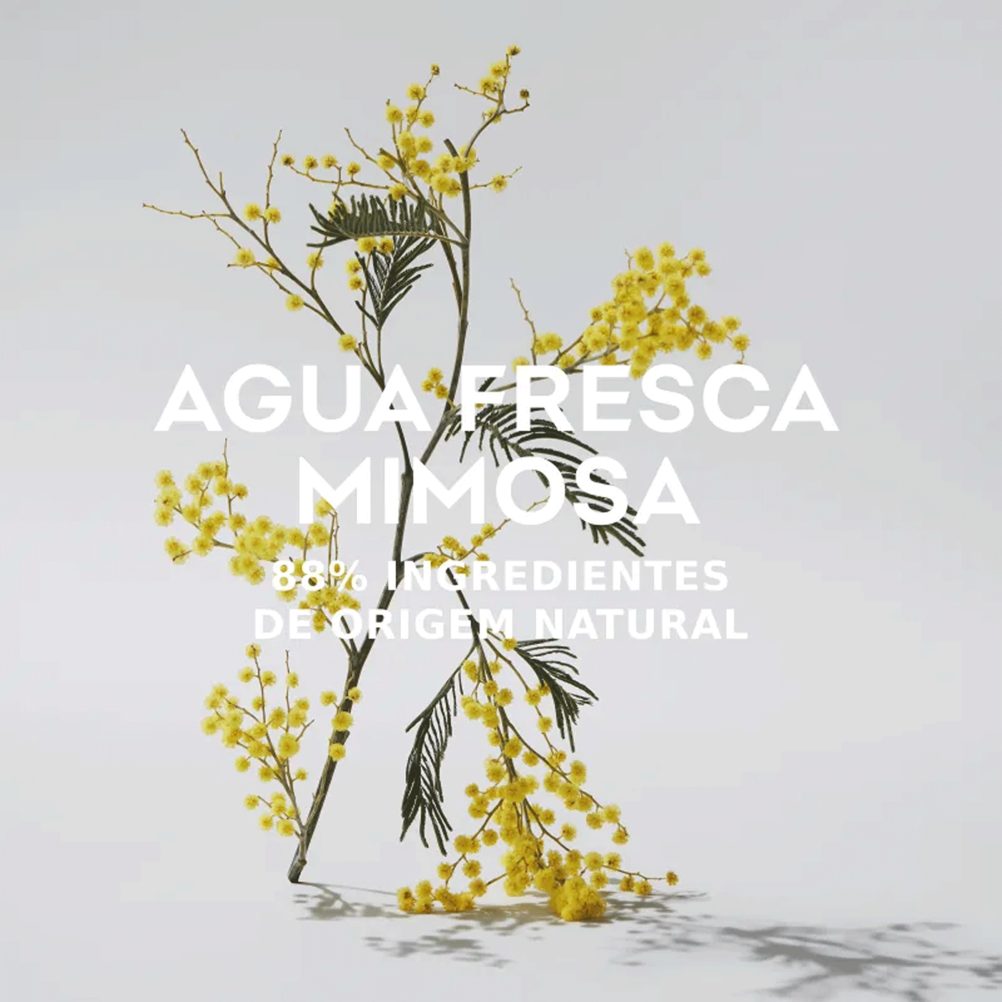 Adolfo Dominguez Mimosa Eau de Toilette - Perfume Feminino 120ml