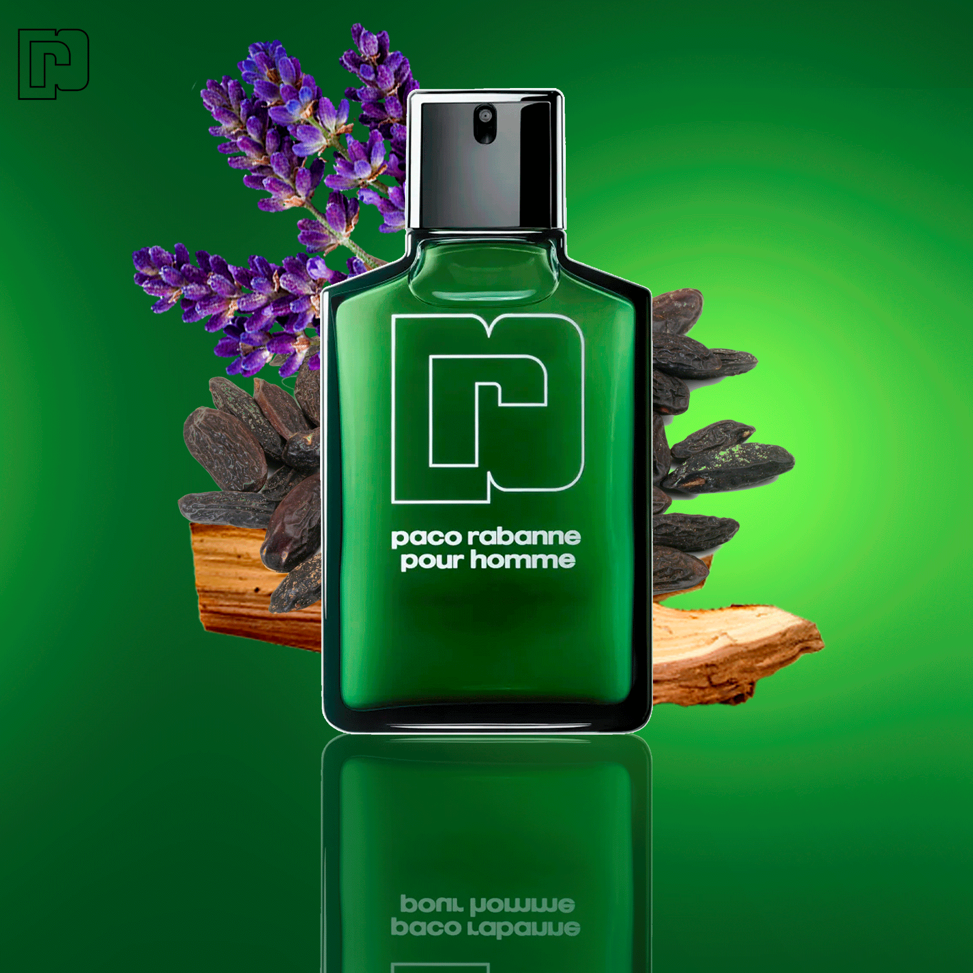 Paco Rabanne Pour Homme Eau de Toilette - Perfume Masculino 100ml