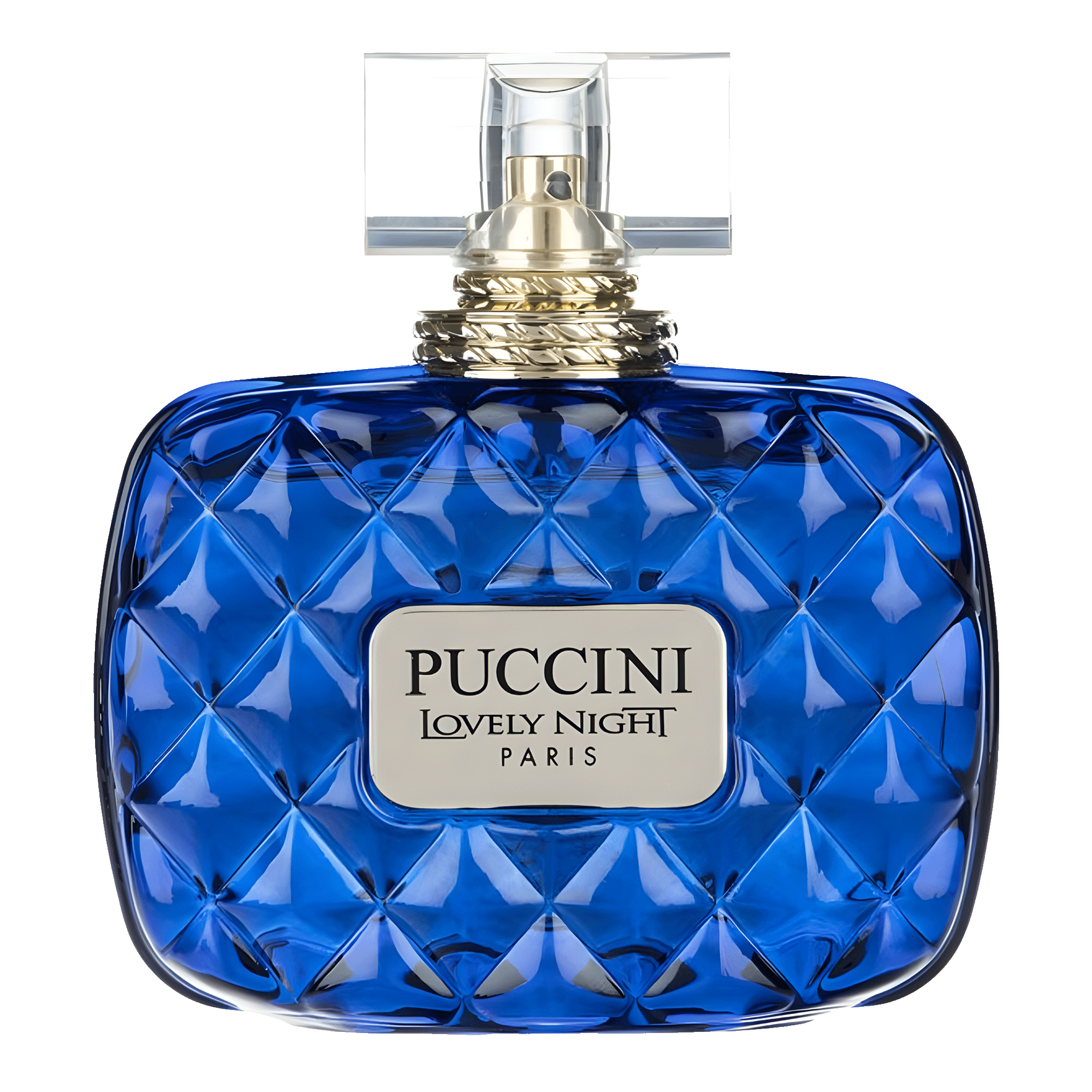 Puccini Lovely Night Blue Eau de Parfum - Perfume Feminino 100ml