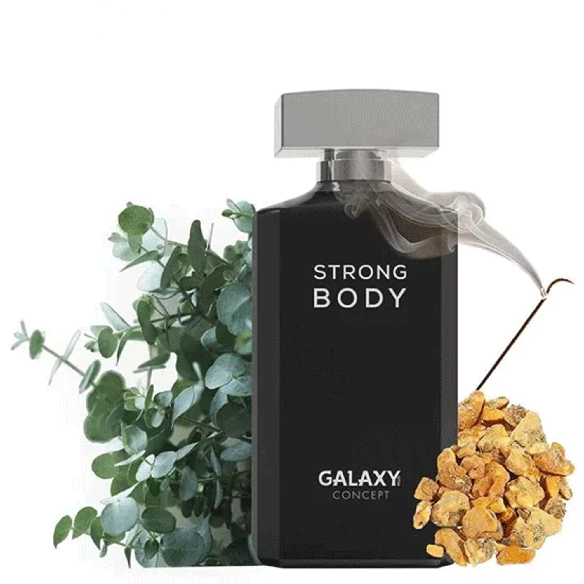 Galaxy Plus Concept Strong Body Eau de Parfum - Perfume Masculino 100ml