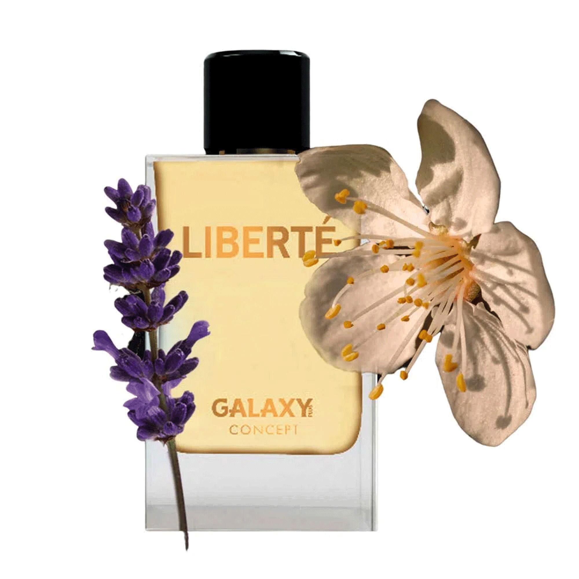 Perfume Feminino Galaxy Plus Concept Liberté Eau de Parfum 80ml