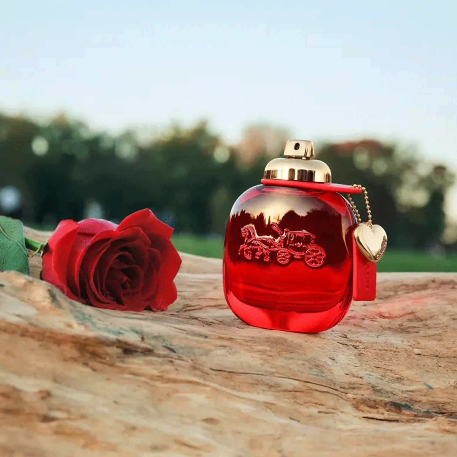 Coach Love Eau de Parfum - Perfume Feminino 90ml
