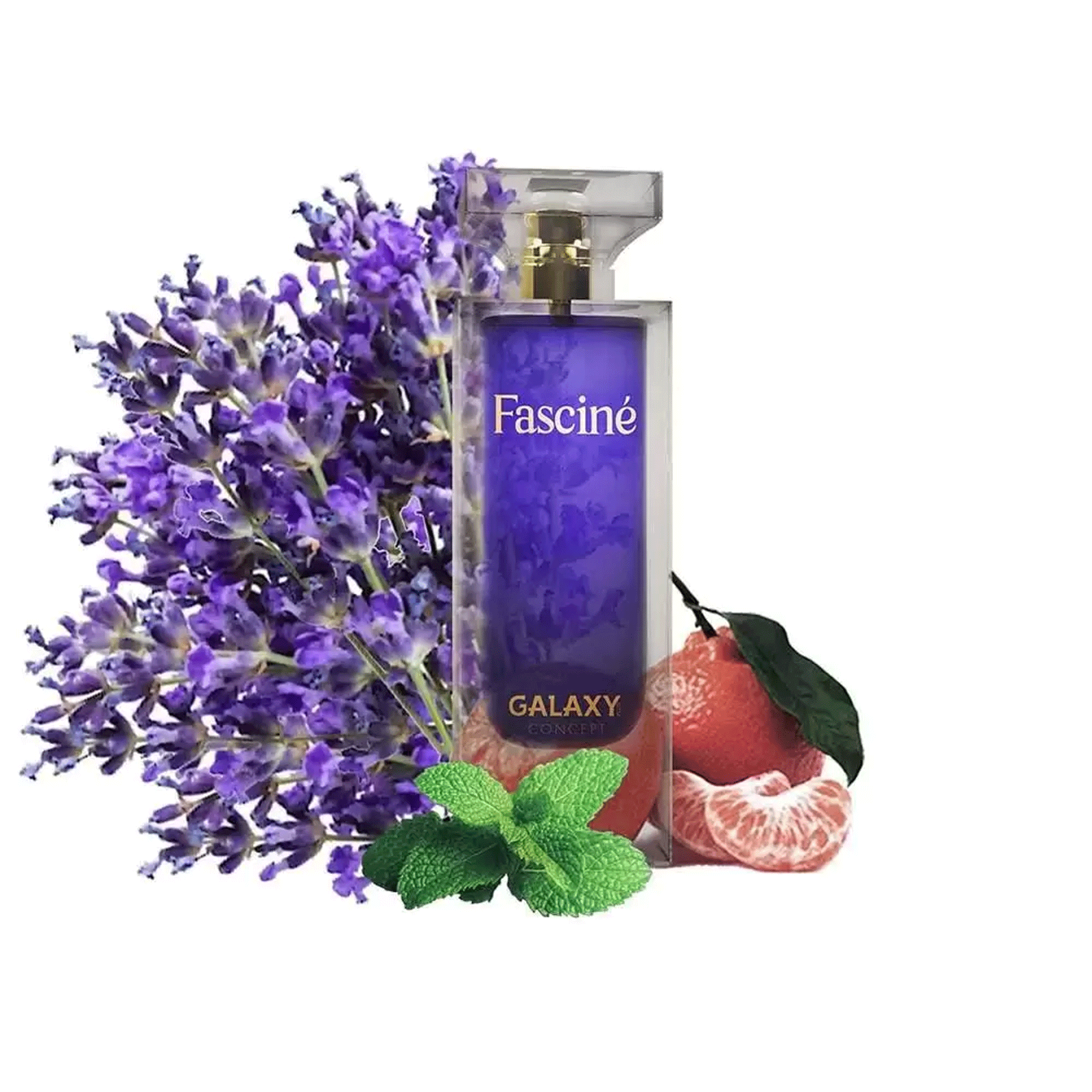 Galaxy Plus Concept Fascine Eau de Parfum - Perfume Masculino 100ml