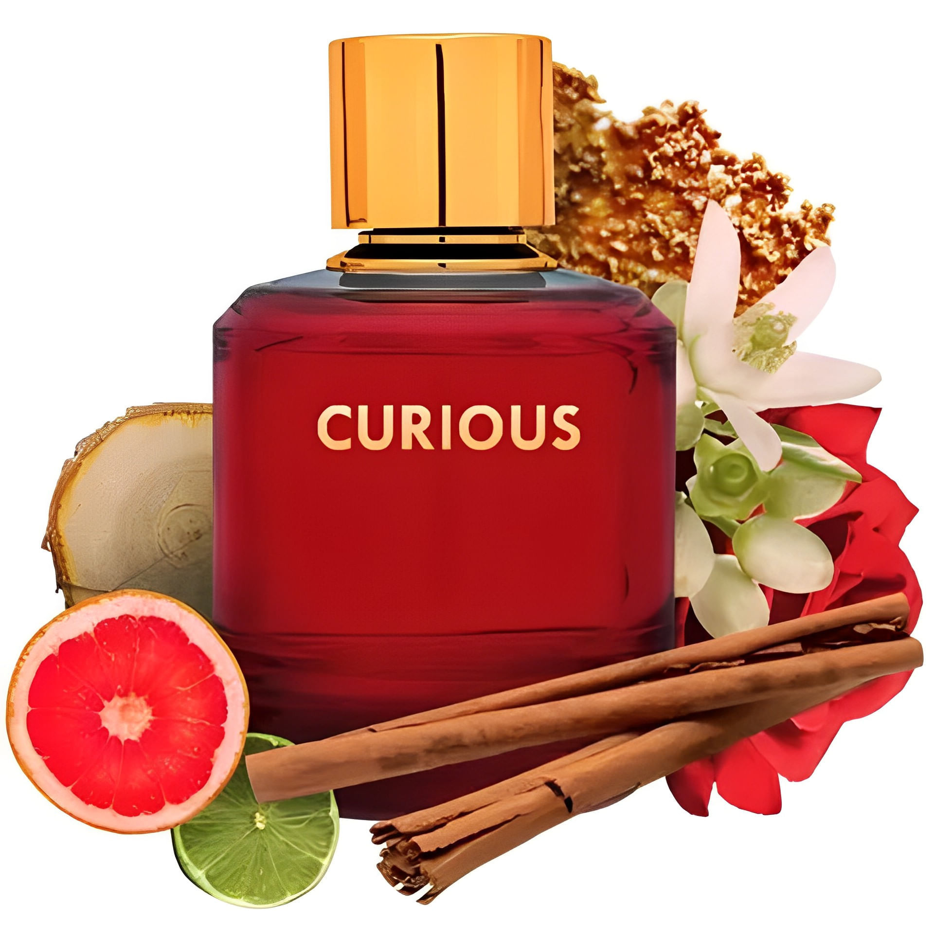 Galaxy Plus Concept Curious Eau de Parfum - Perfume Feminino 100ml