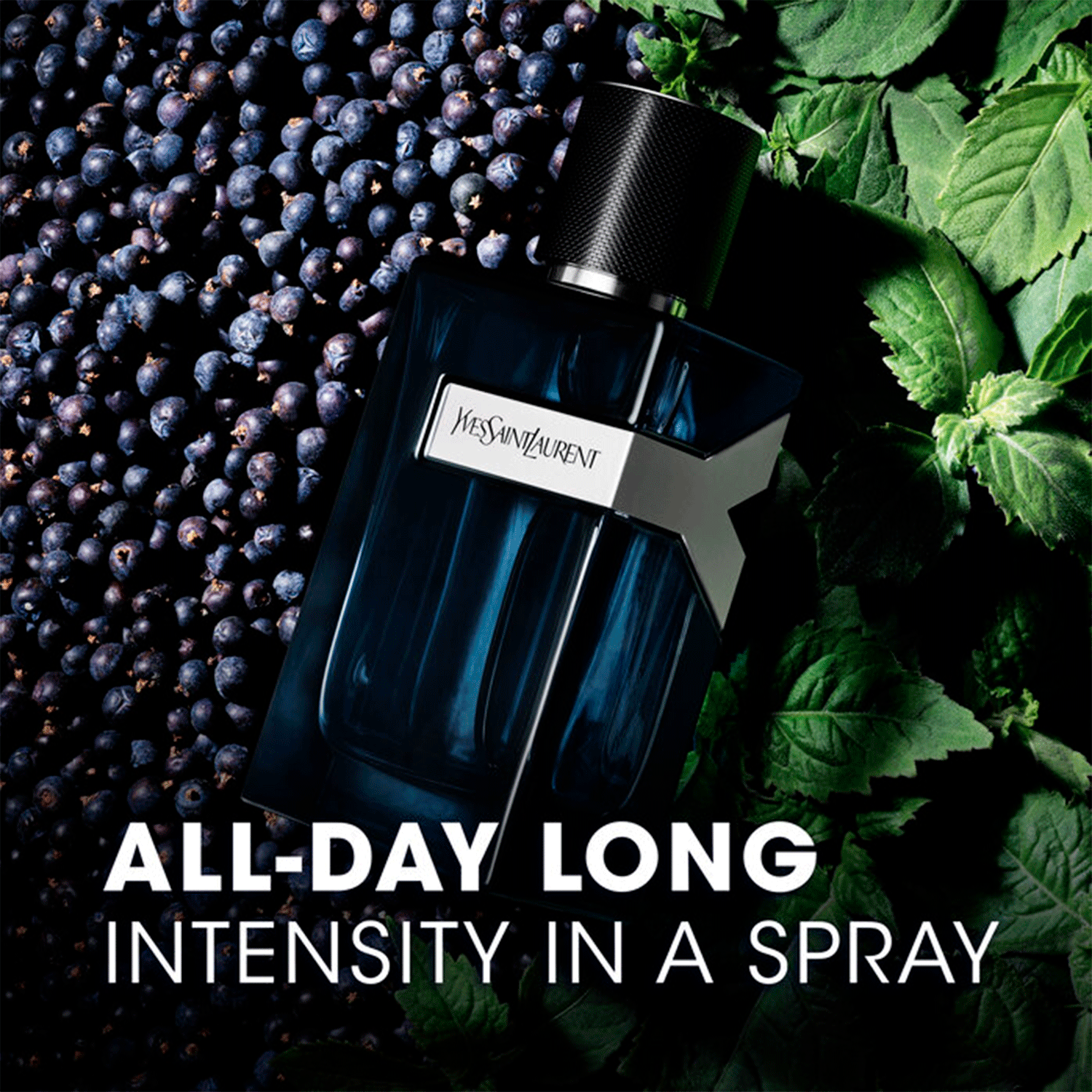 Perfume Masculino All-Day Long Intense Yves Saint Laurent Y Eau de Parfum 60ml