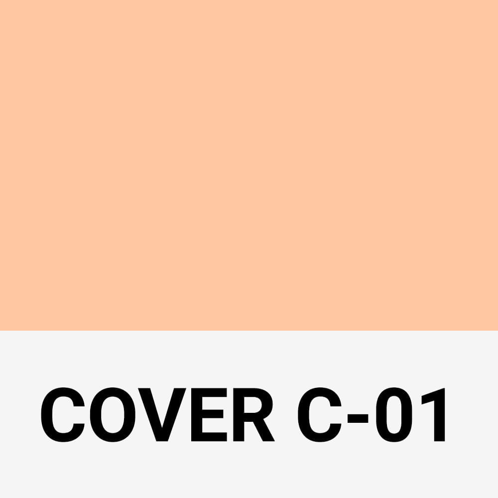 Corretivo Franciny Ehlke Stick Cover C-01