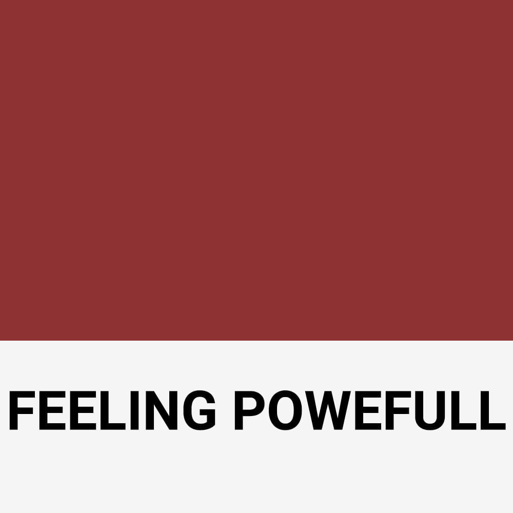 Lip Fix Tint Ruby Kisses Feeling Powefull