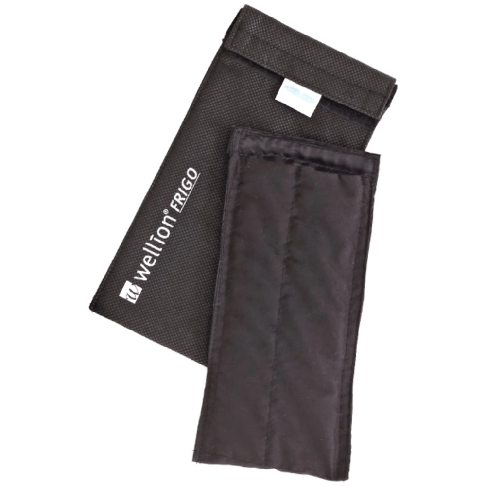 Bolsa Refrigerável Para Transporte De Medicamentos Wellion