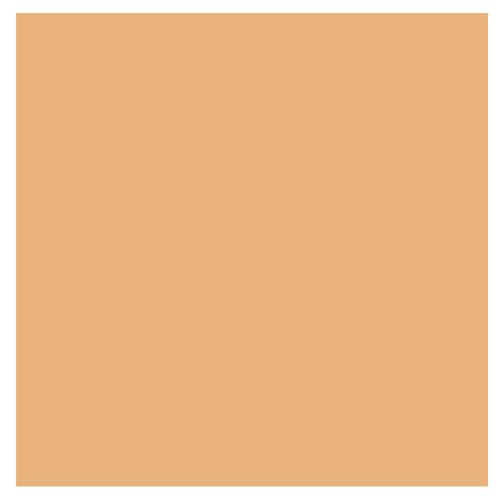 Corretivo Líquido Clinique Even Better Concealer WN 98 Cream Caramel